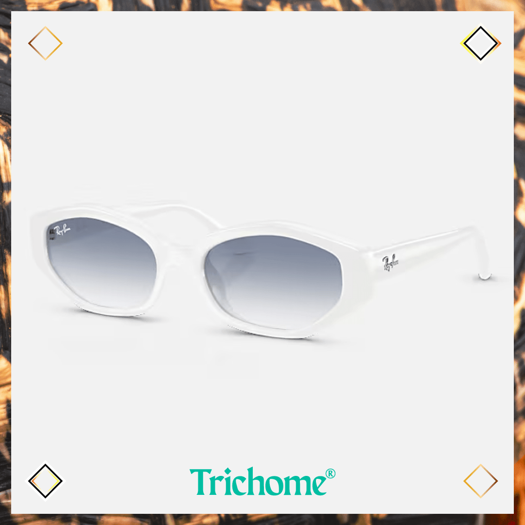 RB4473D The Ovoid - Trichome Seattle - Ray - Ban - Eyewear