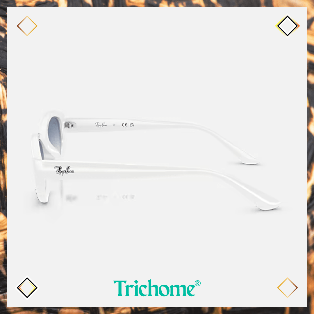 RB4473D The Ovoid - Trichome Seattle - Ray - Ban - Eyewear