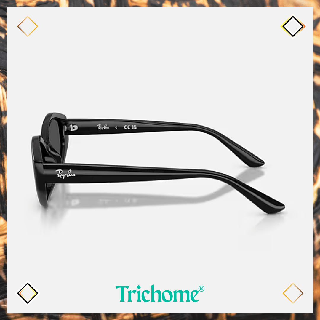 RB4473D The Ovoid - Trichome Seattle - Ray - Ban - Eyewear