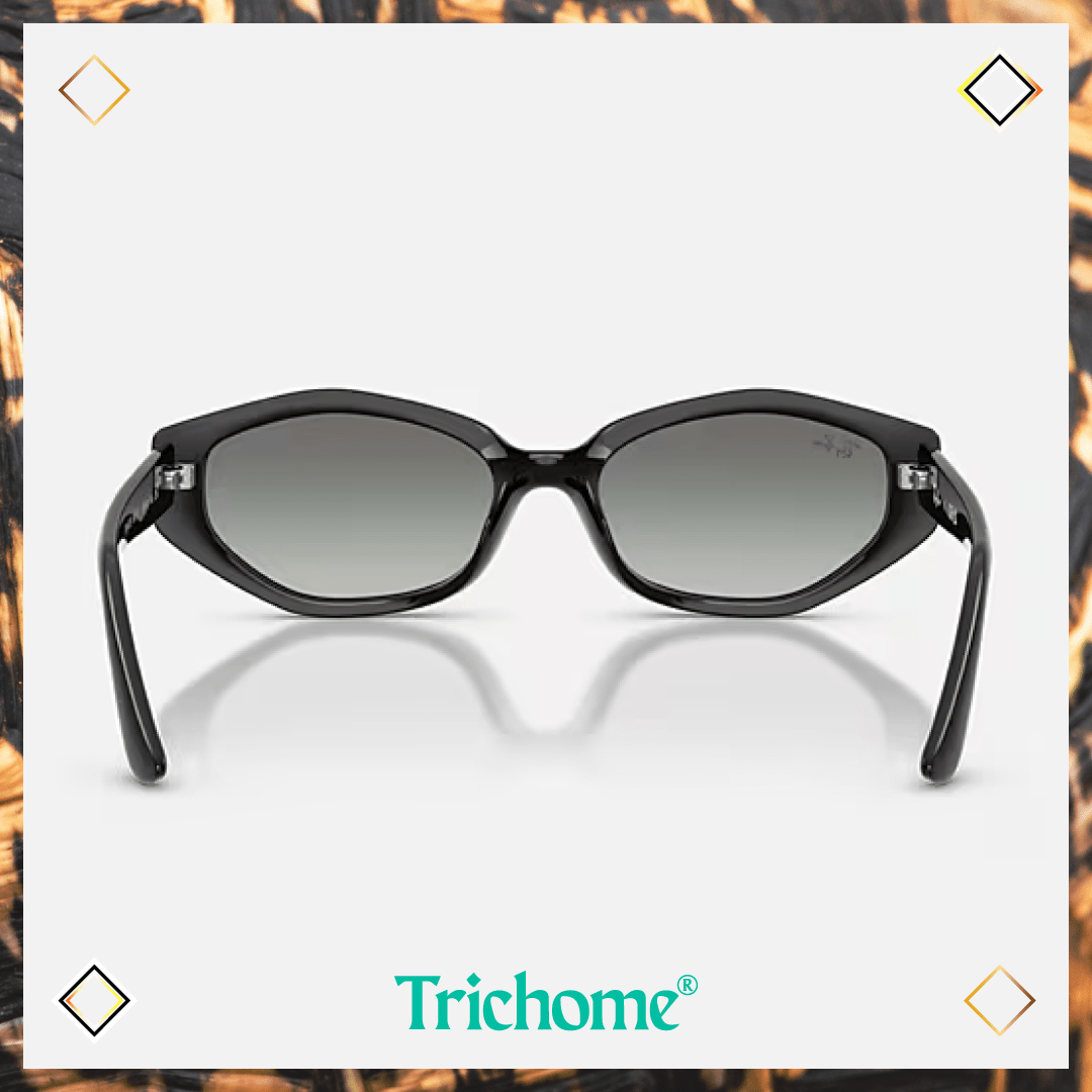RB4473D The Ovoid - Trichome Seattle - Ray-Ban - Eyewear