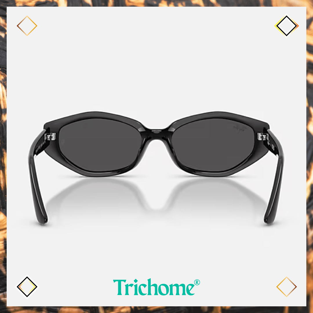 RB4473D The Ovoid - Trichome Seattle - Ray - Ban - Eyewear