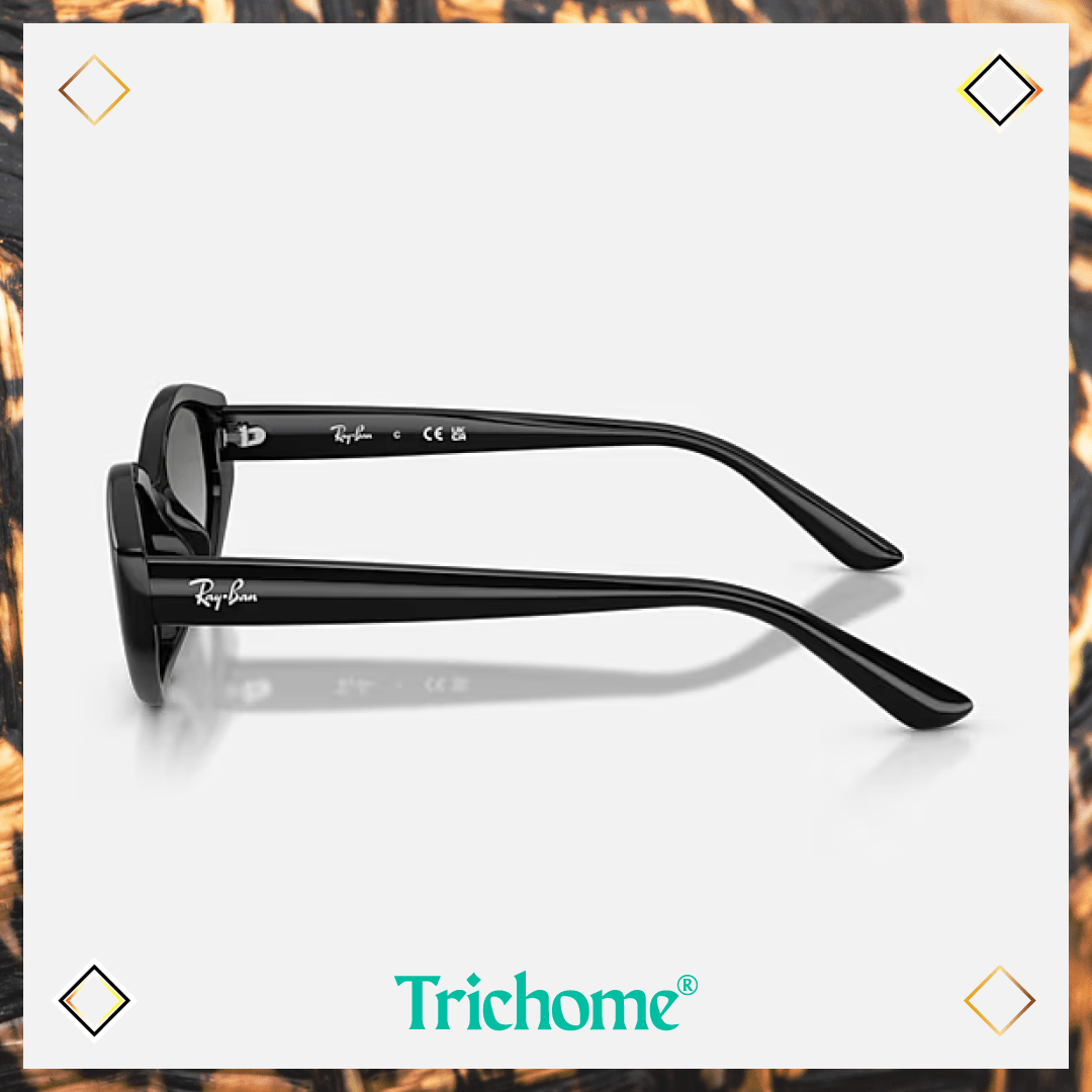 RB4473D The Ovoid - Trichome Seattle - Ray-Ban - Eyewear