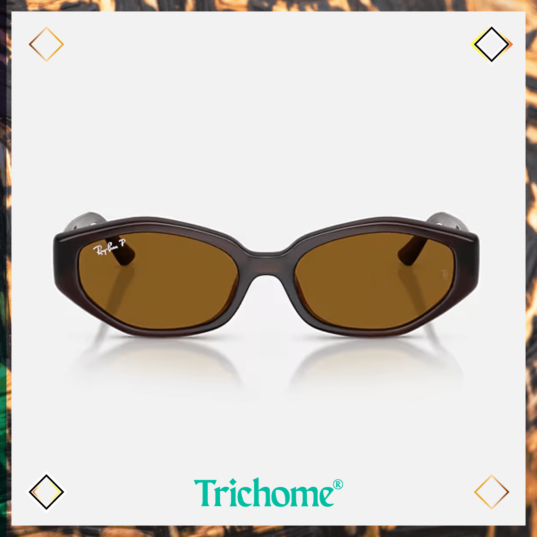 RB4473D The Ovoid - Trichome Seattle - Ray-Ban - Eyewear