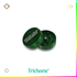 Santa Cruz Shredder Small 2 - Piece Grinder - Trichome Seattle - Santa Cruz Shredder - Tools