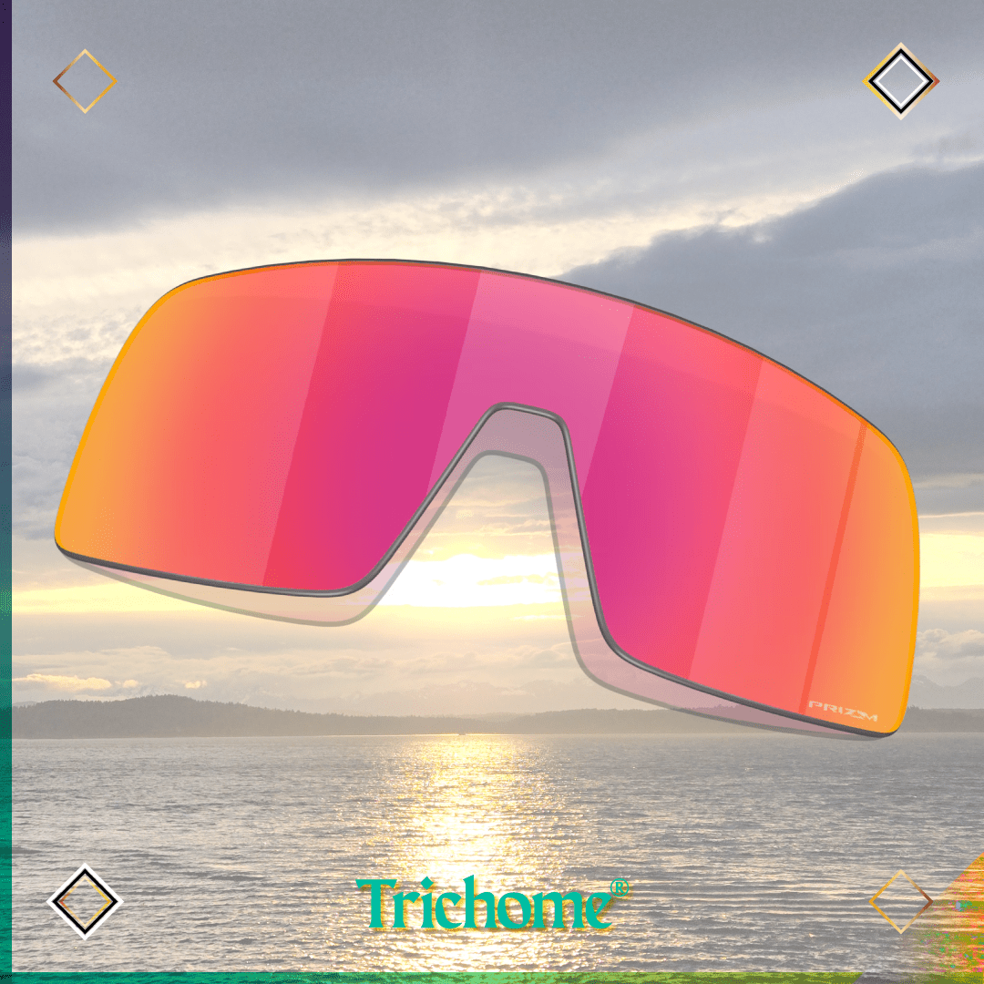 Sutro Replacement Lens - Trichome Seattle - Oakley - Eyewear