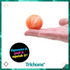 Teenie Swirl NeeDoh Multi - Pack *Limit 2 Max - Trichome Seattle - NeeDoh - 
