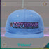 Toytown Hat - Trichome Seattle - CBI - Clothing