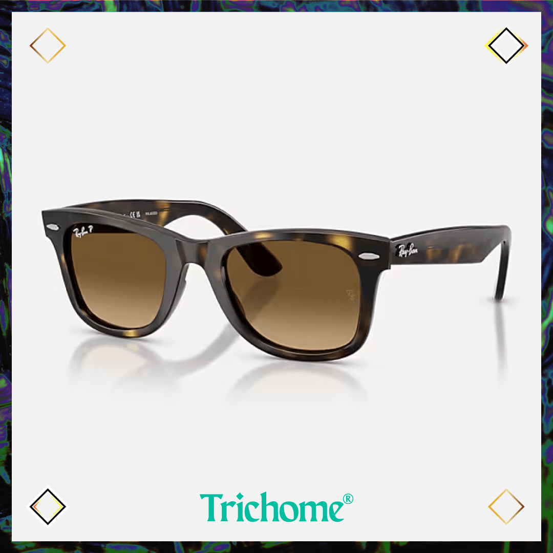 Wayfarer Ease - Trichome Seattle - Ray - Ban - Eyewear