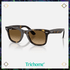 Wayfarer Ease - Trichome Seattle - Ray - Ban - Eyewear