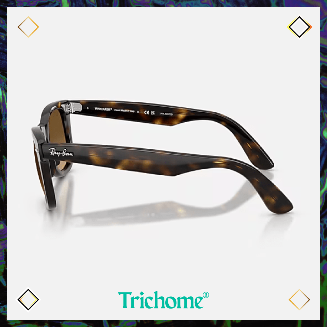 Wayfarer Ease - Trichome Seattle - Ray - Ban - Eyewear