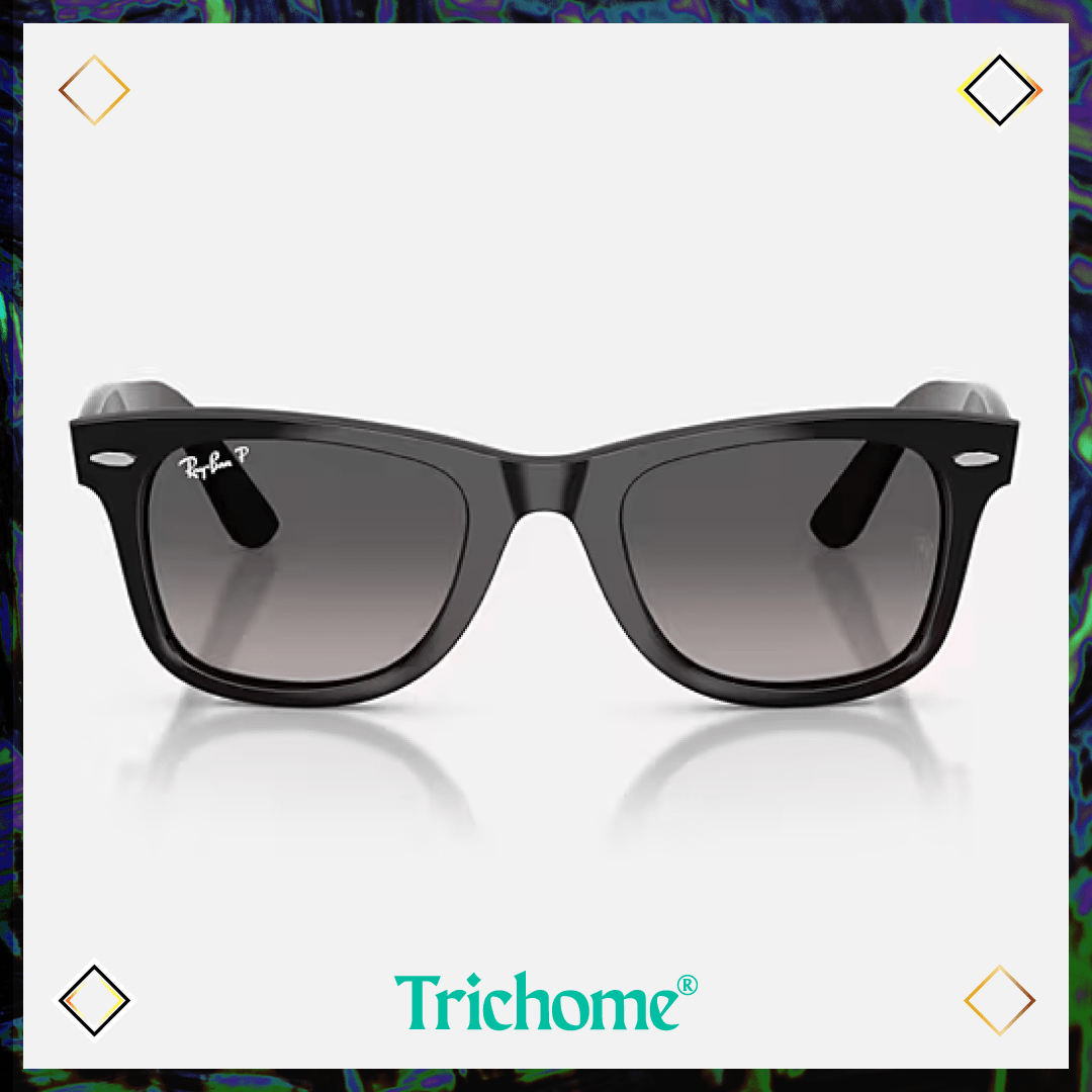 Wayfarer Ease - Trichome Seattle - Ray - Ban - Eyewear
