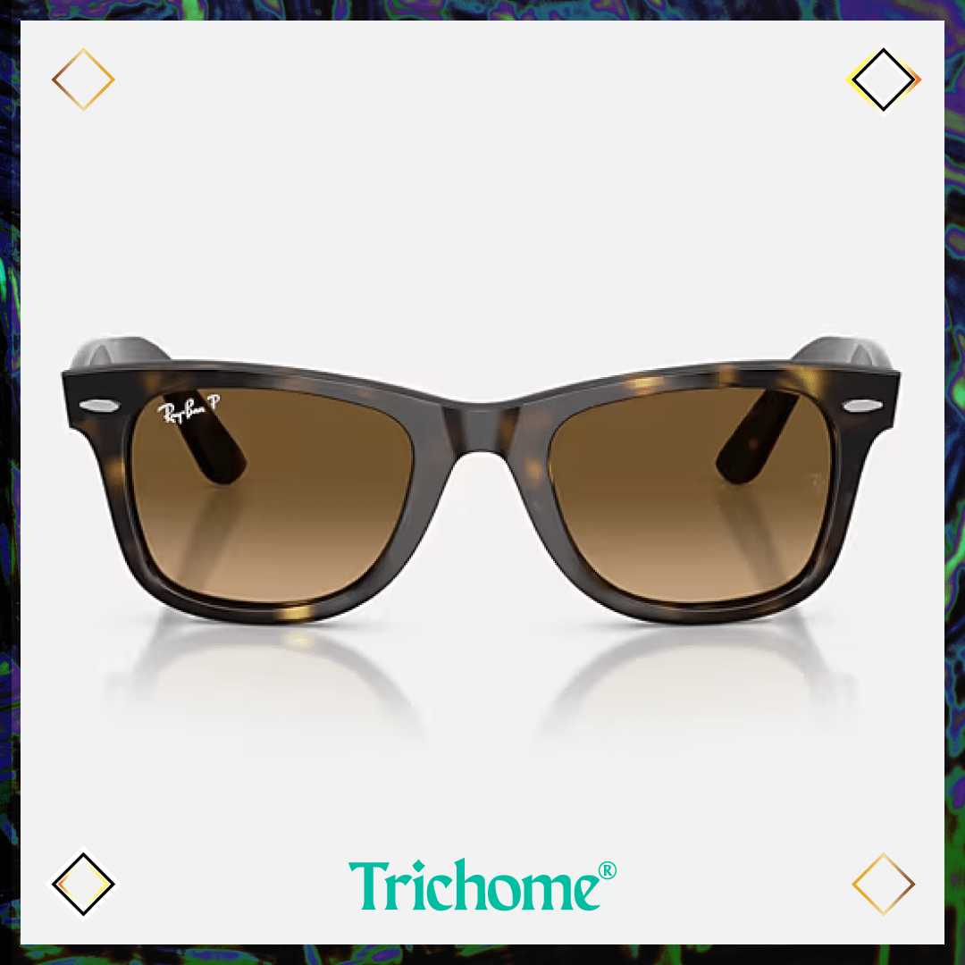Wayfarer Ease - Trichome Seattle - Ray - Ban - Eyewear