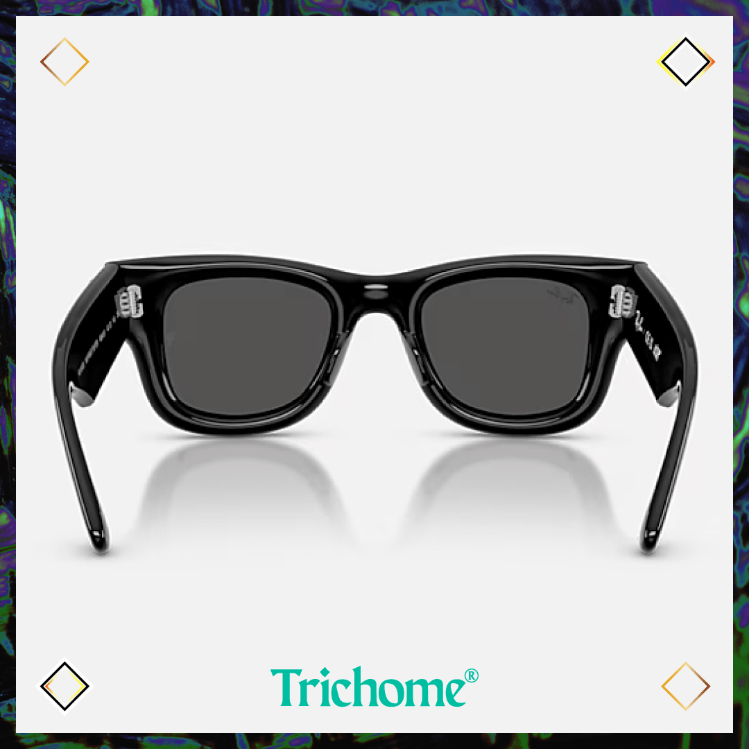 Wayfarer Puffer Crystal Edition - Trichome Seattle - Ray - Ban - Eyewear
