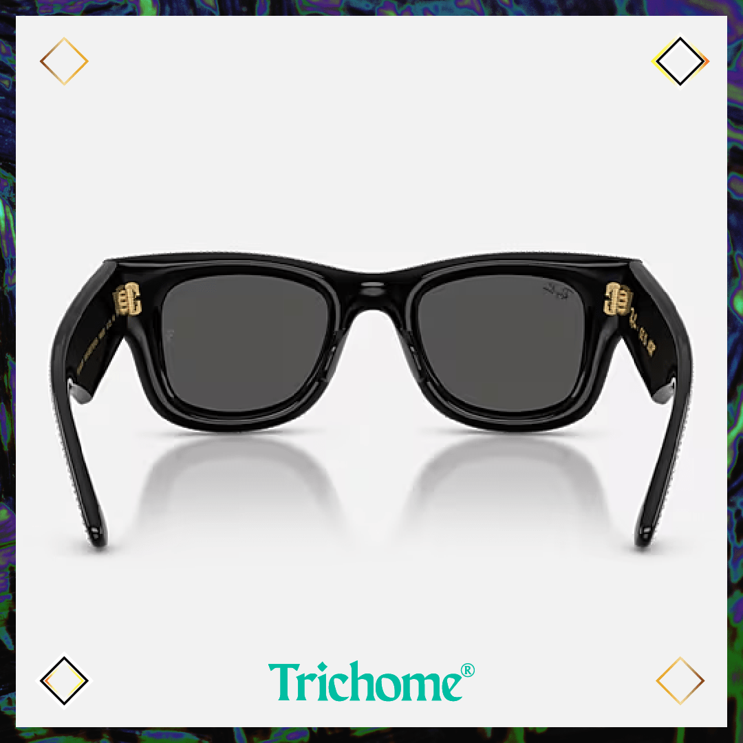 Wayfarer Puffer Crystal Pavé Edition - Trichome Seattle - Ray - Ban - Eyewear