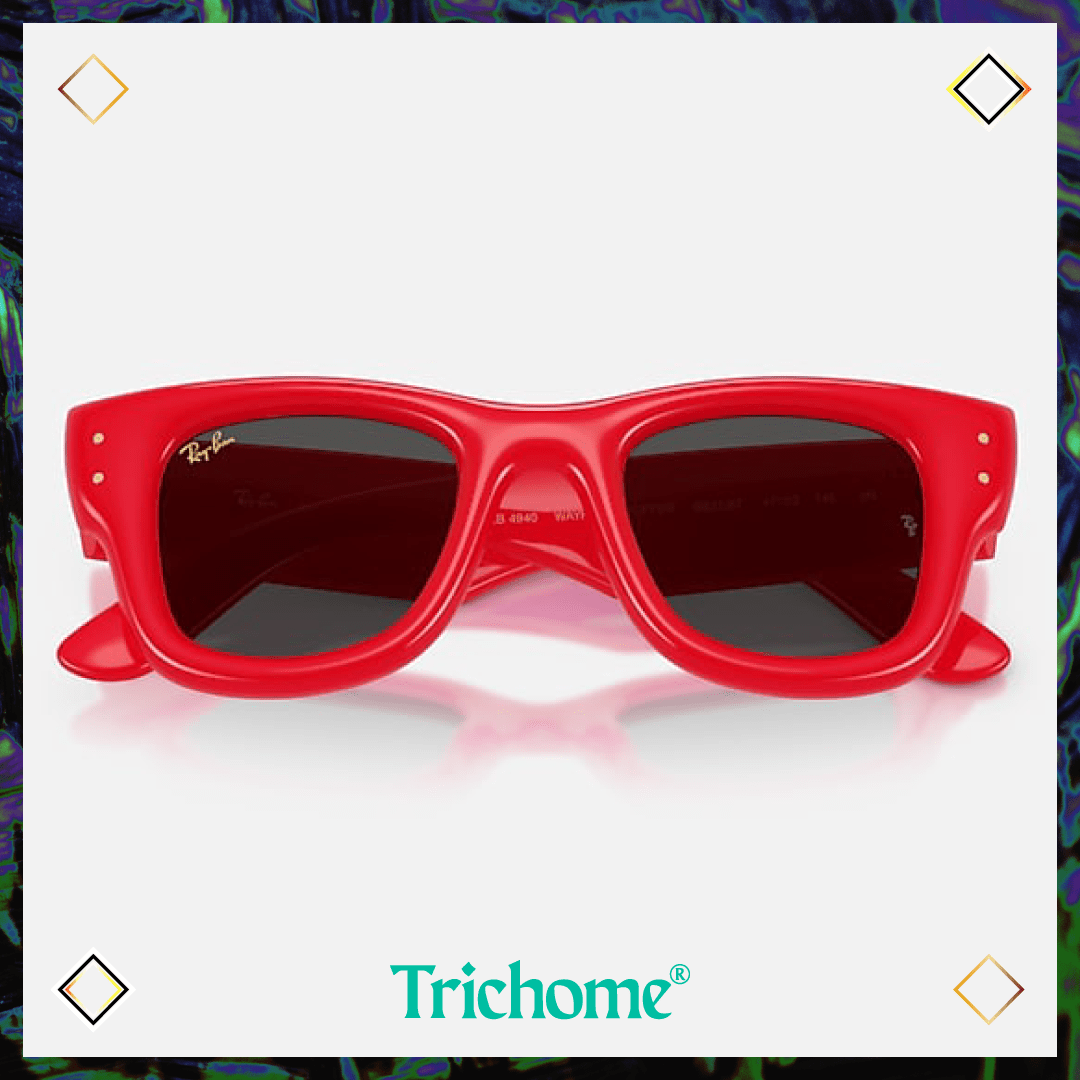 Wayfarer Puffer - Trichome Seattle - Ray-Ban - Eyewear