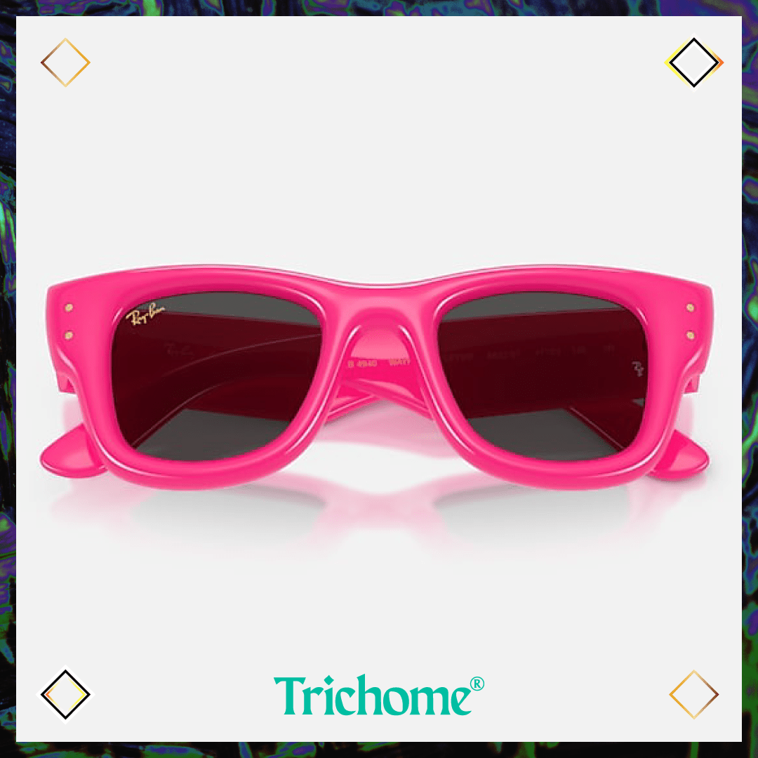 Wayfarer Puffer - Trichome Seattle - Ray-Ban - Eyewear