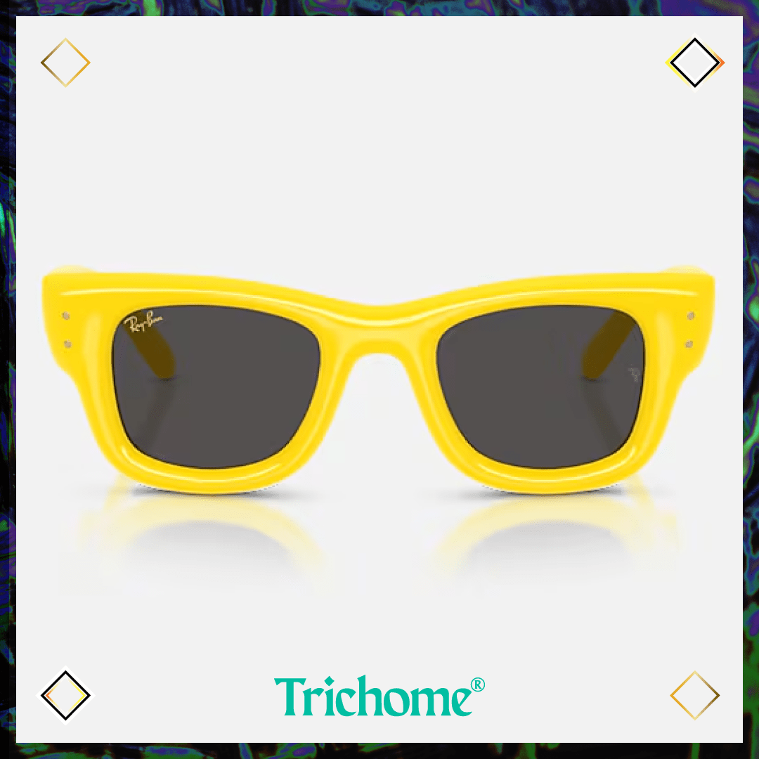 Wayfarer Puffer - Trichome Seattle - Ray - Ban - Eyewear