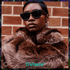 Wayfarer Puffer - Trichome Seattle - Ray - Ban - Eyewear