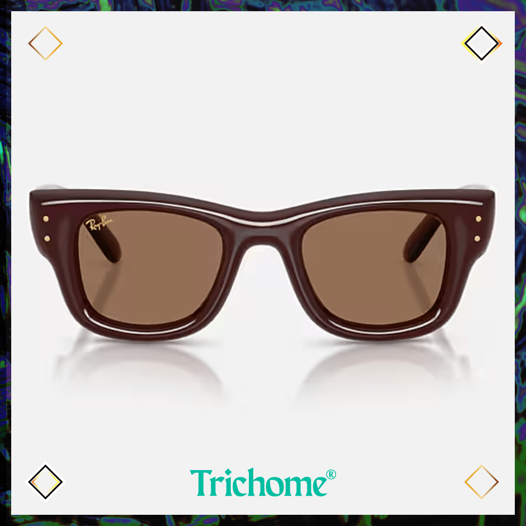 Wayfarer Puffer - Trichome Seattle - Ray-Ban - Eyewear