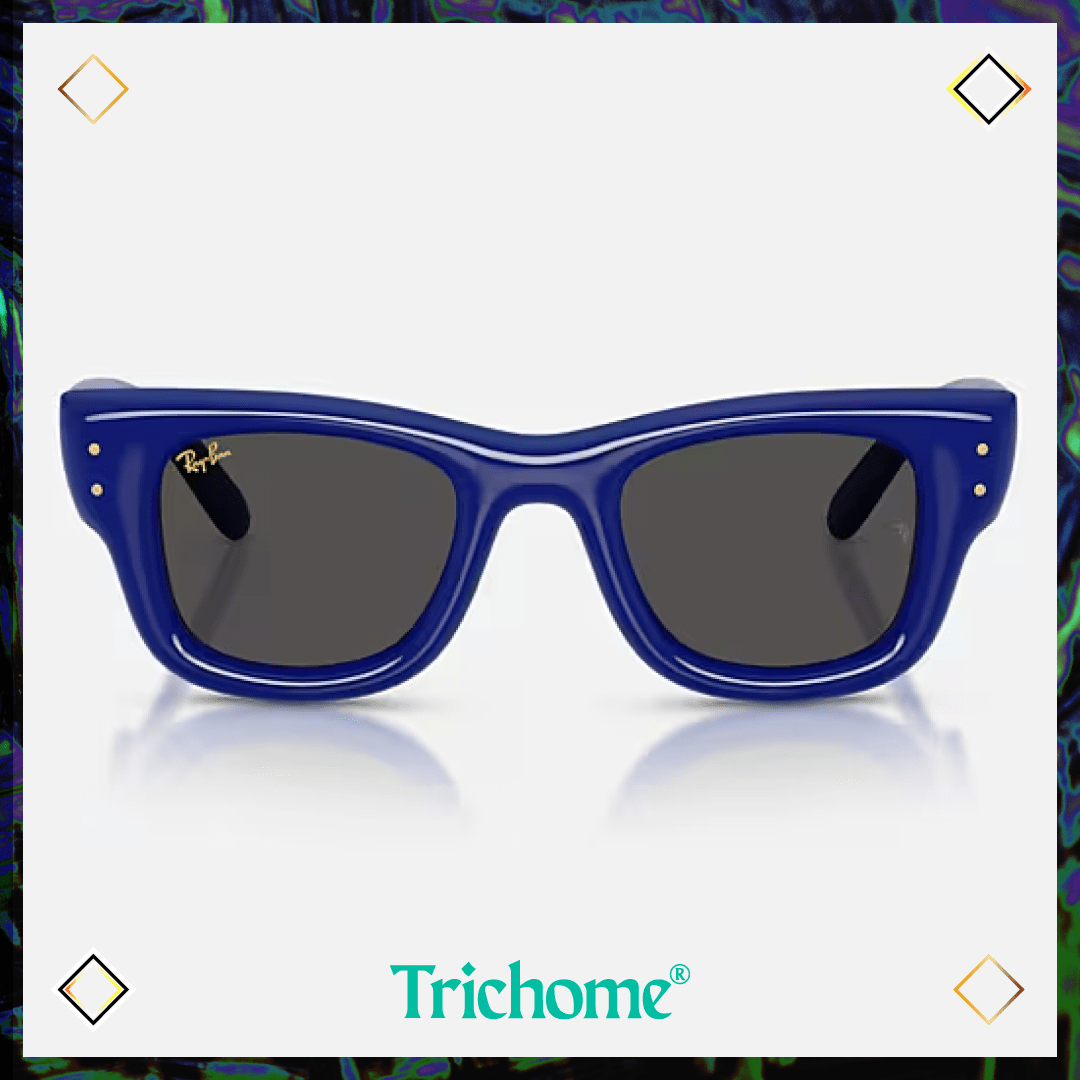 Wayfarer Puffer - Trichome Seattle - Ray - Ban - Eyewear
