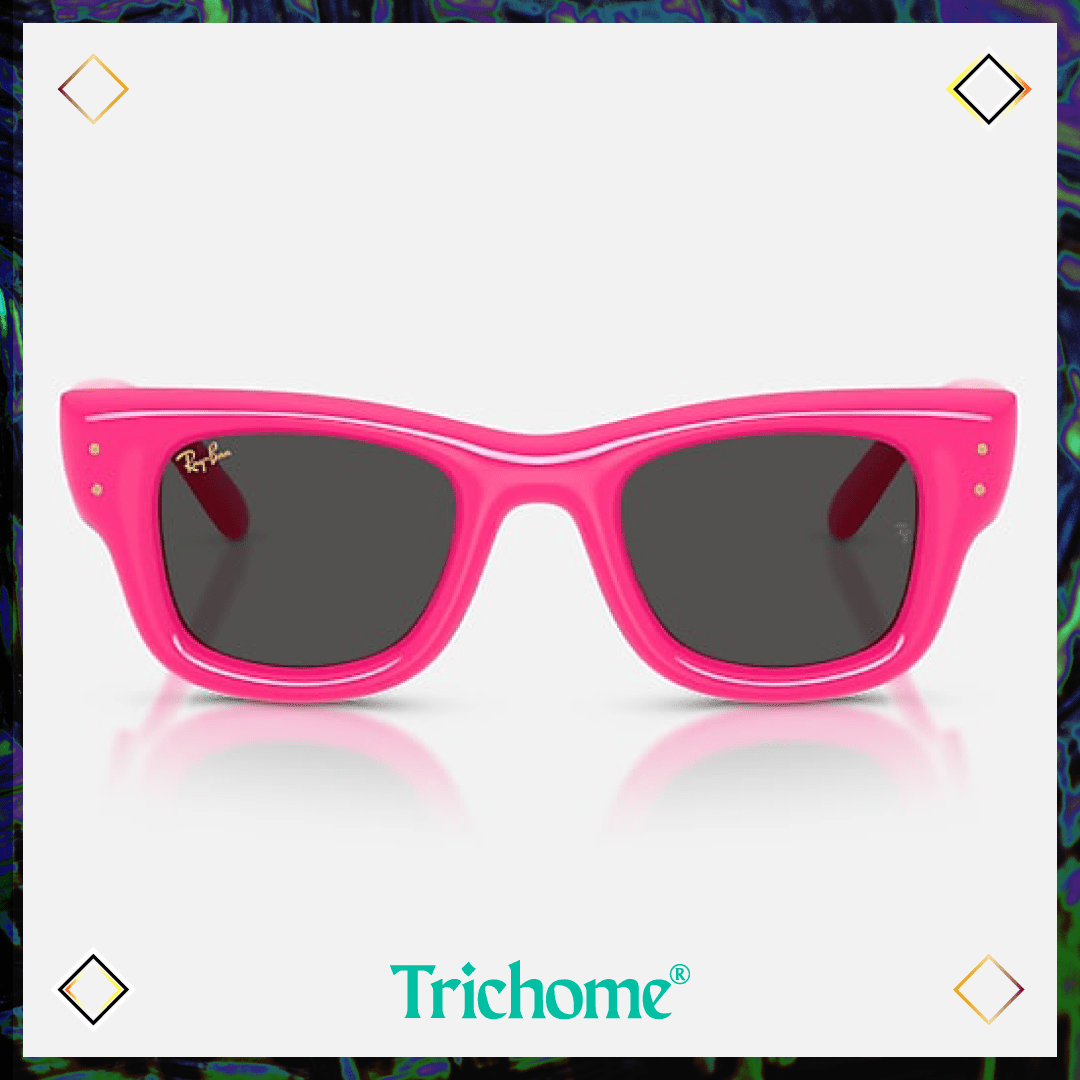Wayfarer Puffer - Trichome Seattle - Ray - Ban - Eyewear
