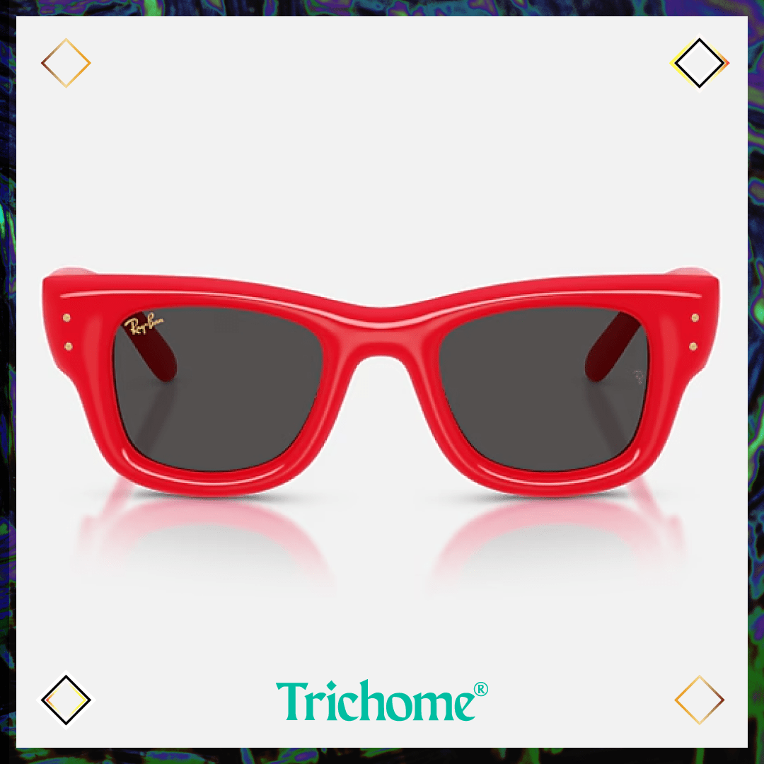 Wayfarer Puffer - Trichome Seattle - Ray - Ban - Eyewear