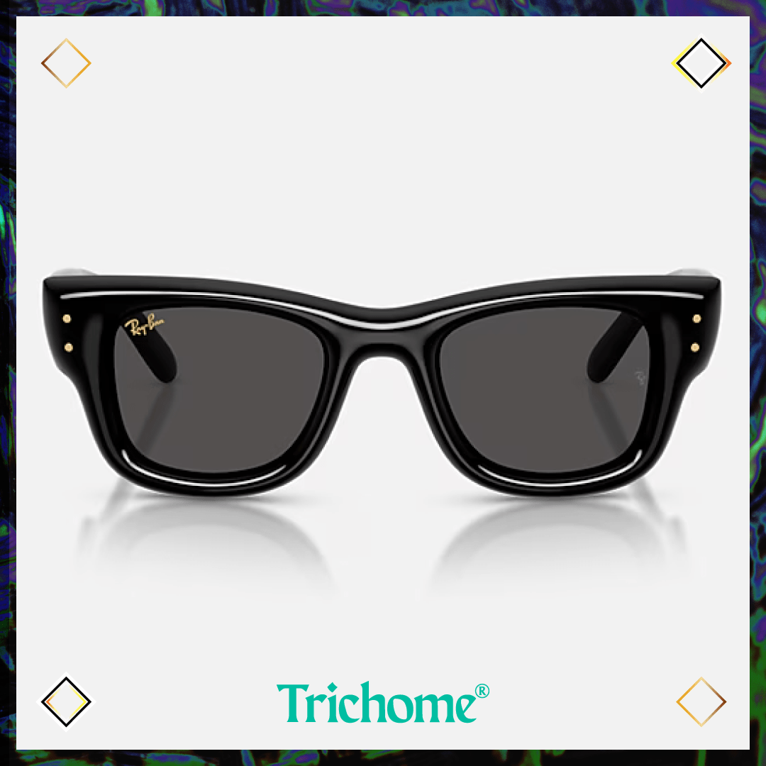 Wayfarer Puffer - Trichome Seattle - Ray - Ban - Eyewear