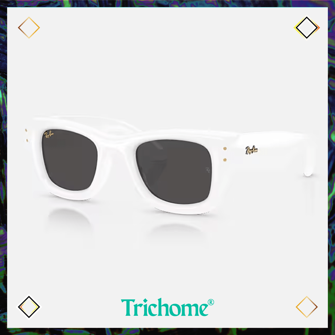 Wayfarer Puffer - Trichome Seattle - Ray - Ban - Eyewear