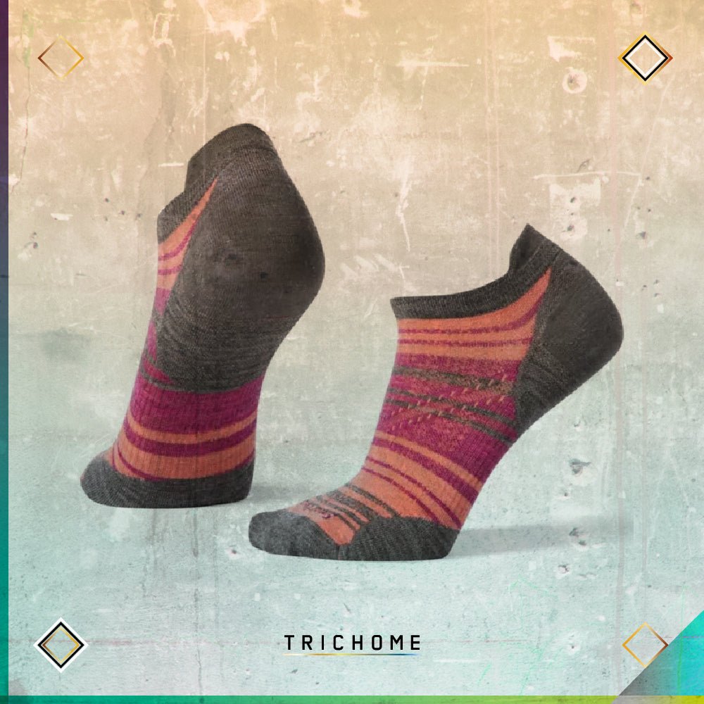 Women's PhD® Run Ultra Light Striped Micro Socks - Trichome Seattle - Smartwool - Clothing