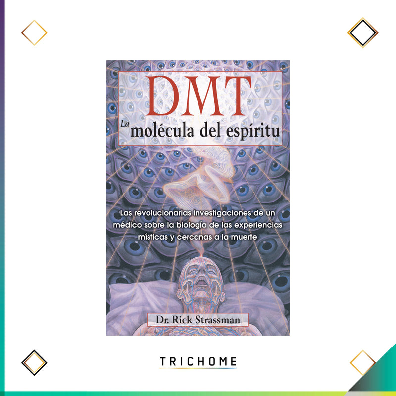 DMT: La Molécula del Espíritu