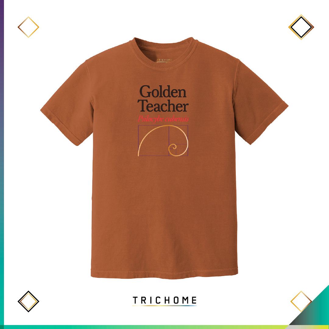Golden Teacher SS Tee (Relaxed Fit)