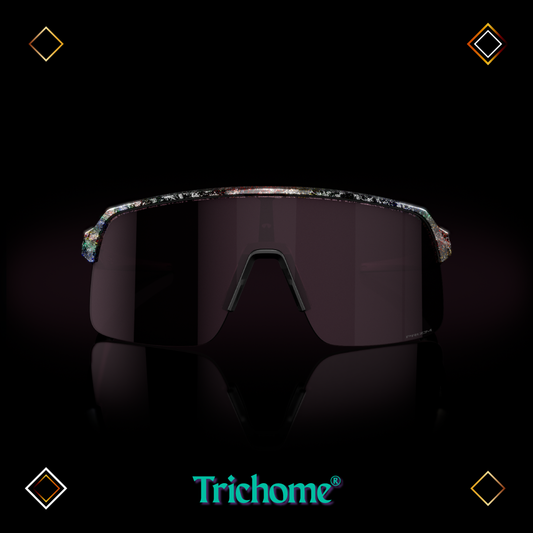 Sutro Lite Sunglasses Verve Collection (Low Bridge Fit)