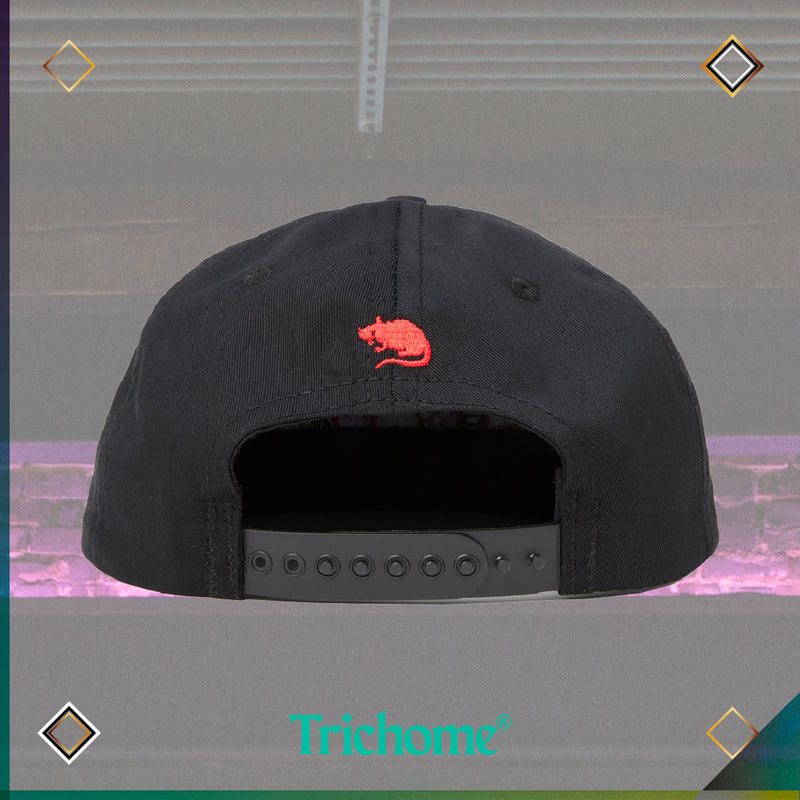 SR Circuit Hat