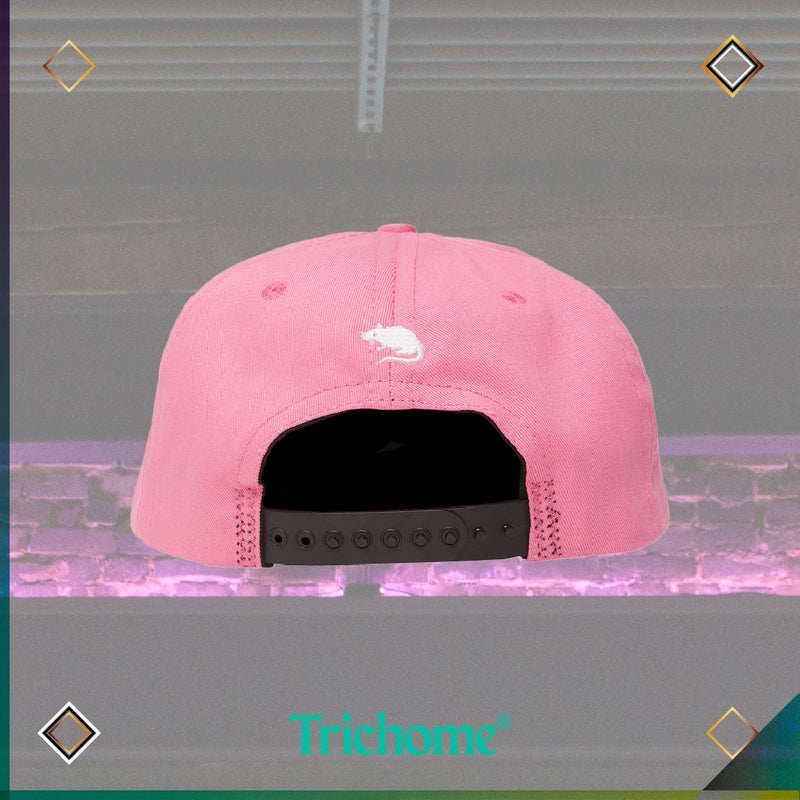 College Arch Snapback Hat