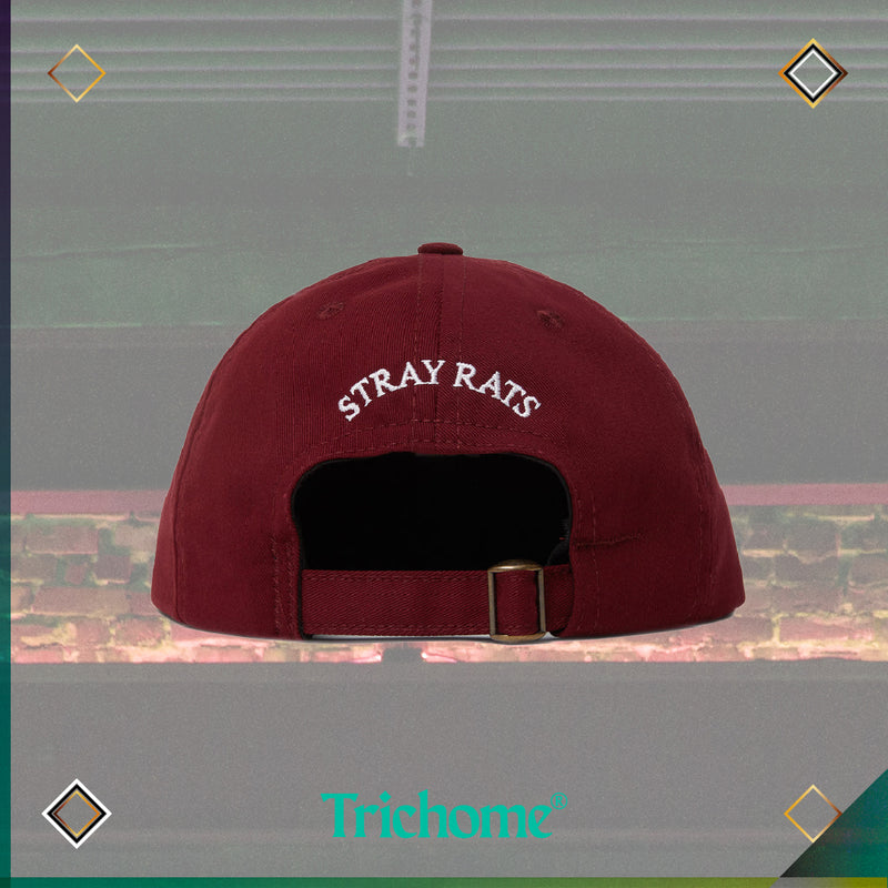 Rat Logo 6-Panel Hat